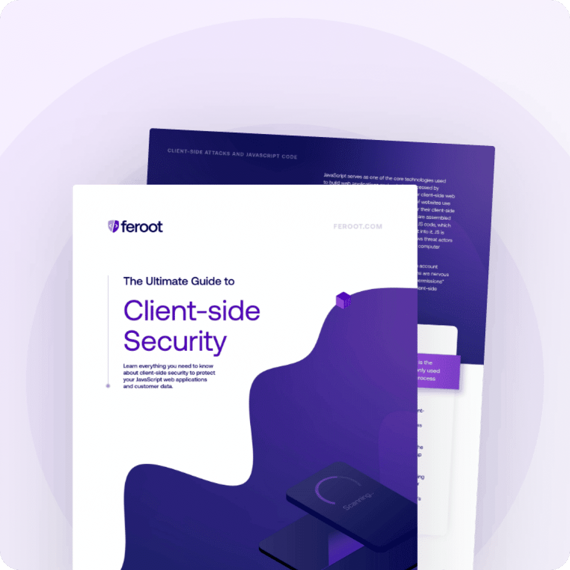 Best Practices for Web Application & Client-Side Security