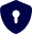 shield check icon